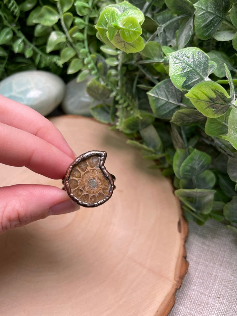 Ammonite Fossil Ring Size 11