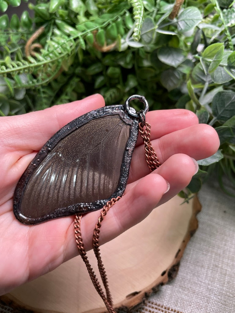 Natural Turquoise Butterfly Wing Necklace