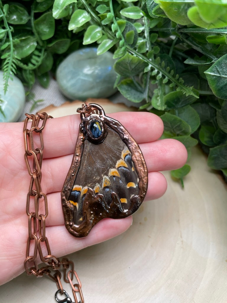 Butterfly Wing and Pietersite Necklace