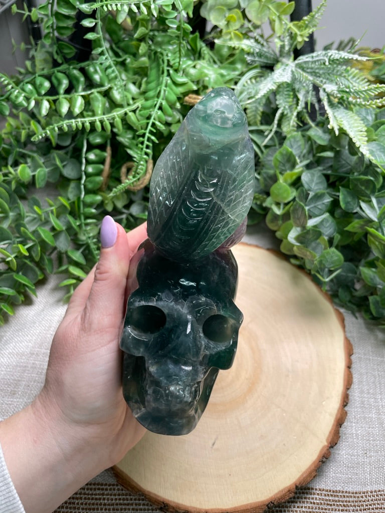 Fluorite Cobra on a Skull