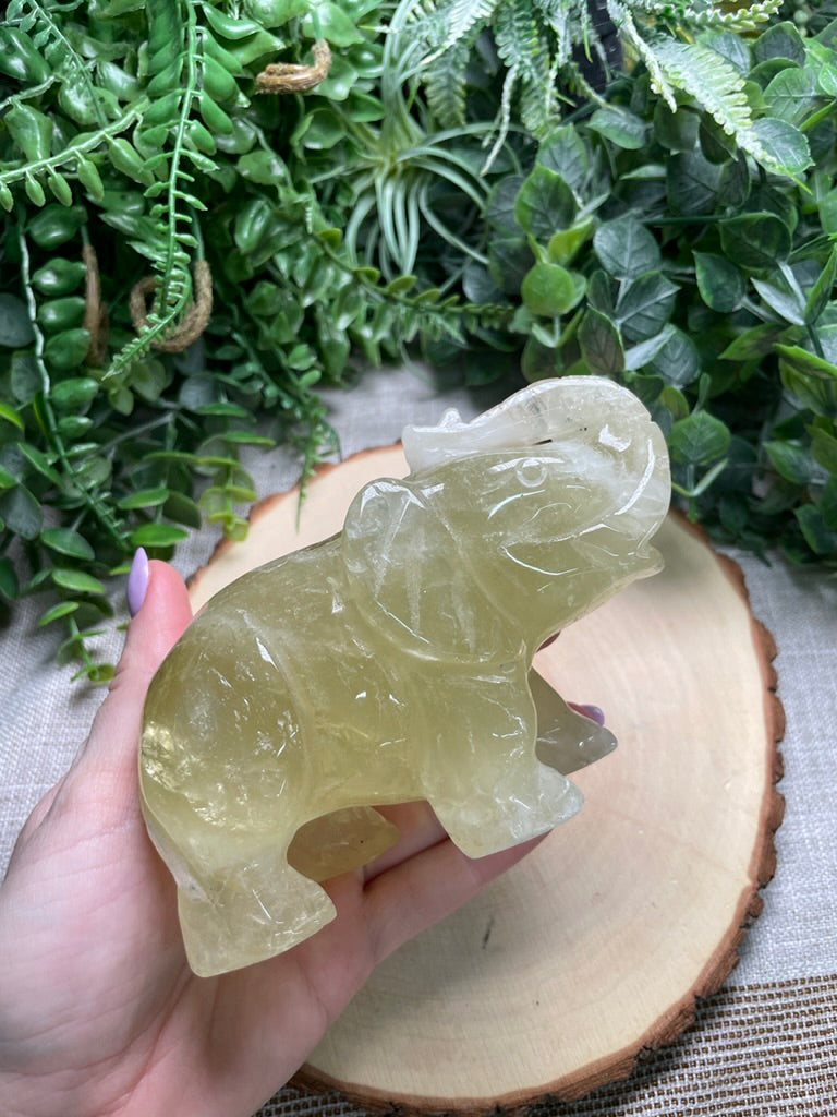 Citrine Elephant