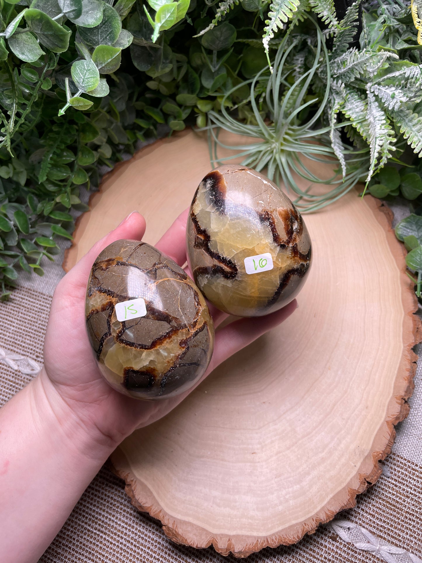 Septarian Egg