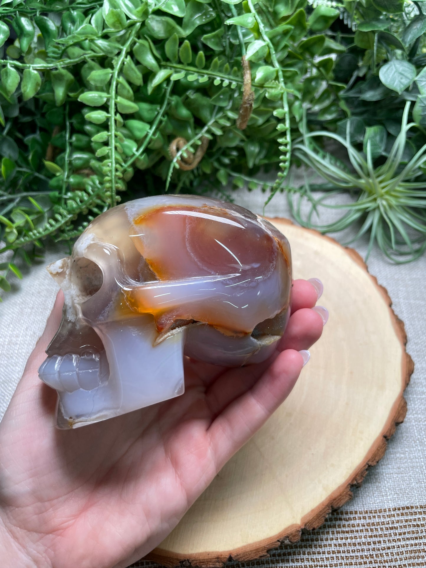 Flower Agate Skull