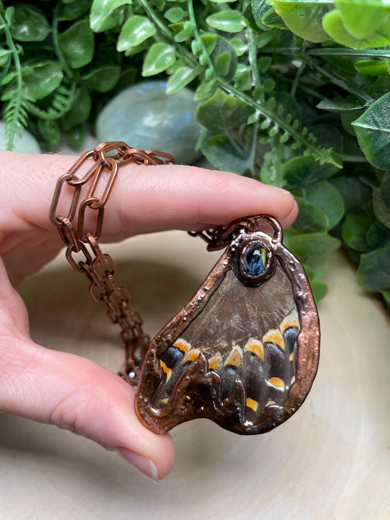 Butterfly Wing and Pietersite Necklace