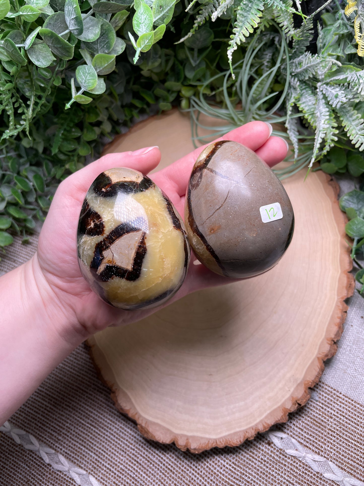 Septarian Egg