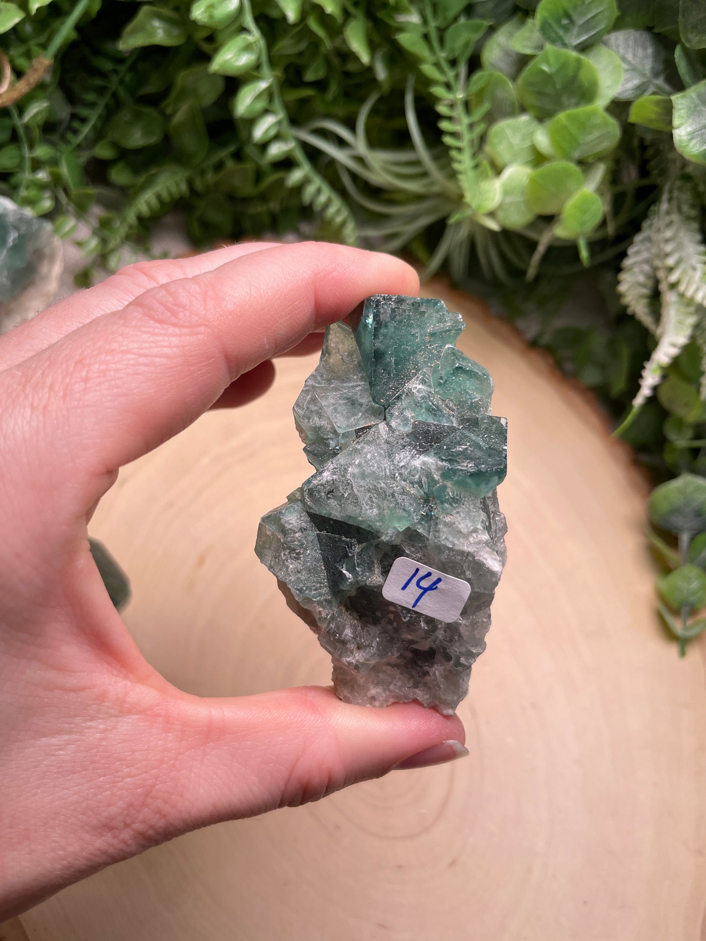 Cubic Fluorite