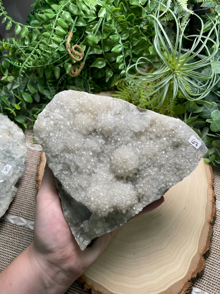 XL Apophyllite Cluster