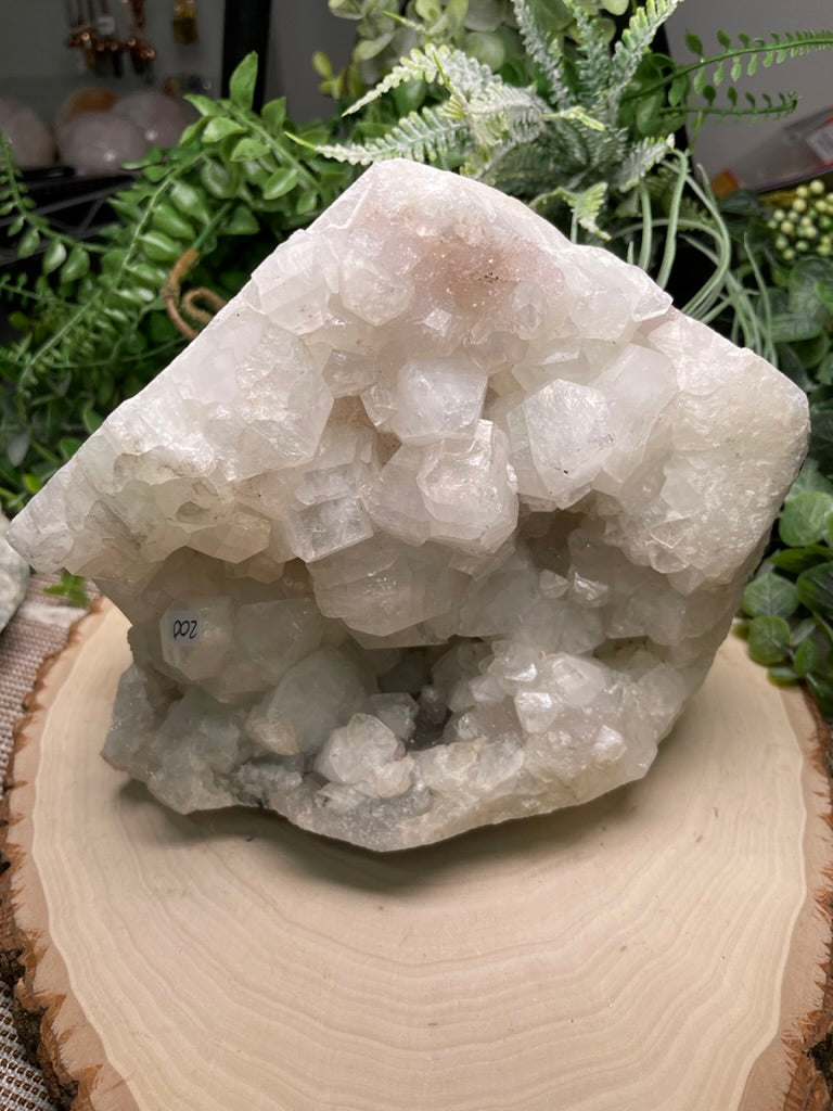 XXL Apophyllite Cluster