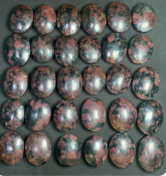 25 Garnet in Astrophyllite palm stones