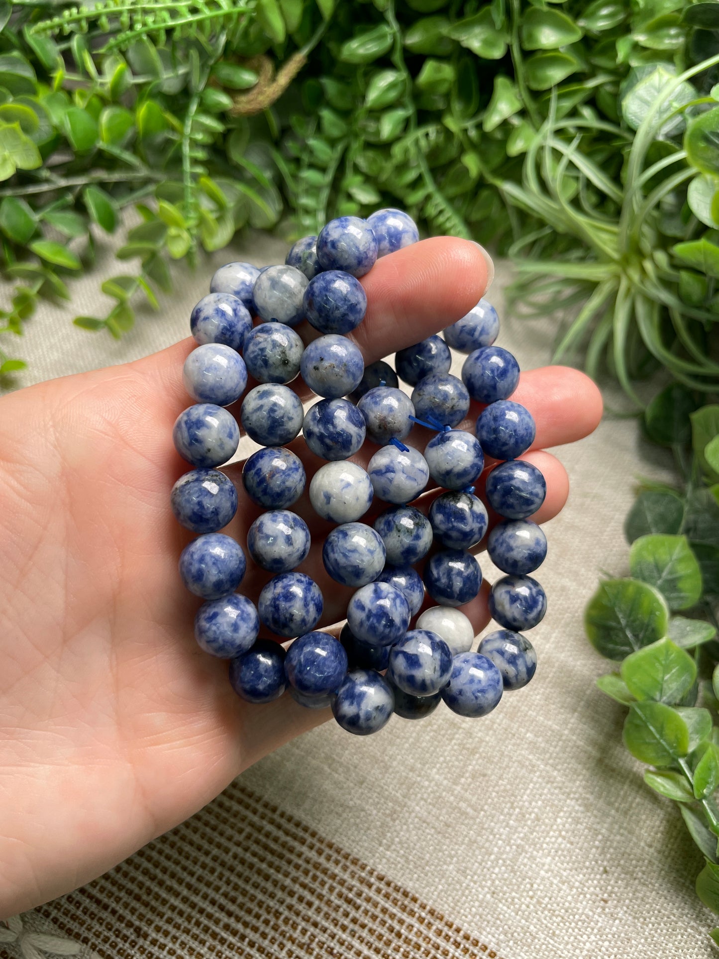 Blue Spotstone Jasper 10mm Beaded Bracelet