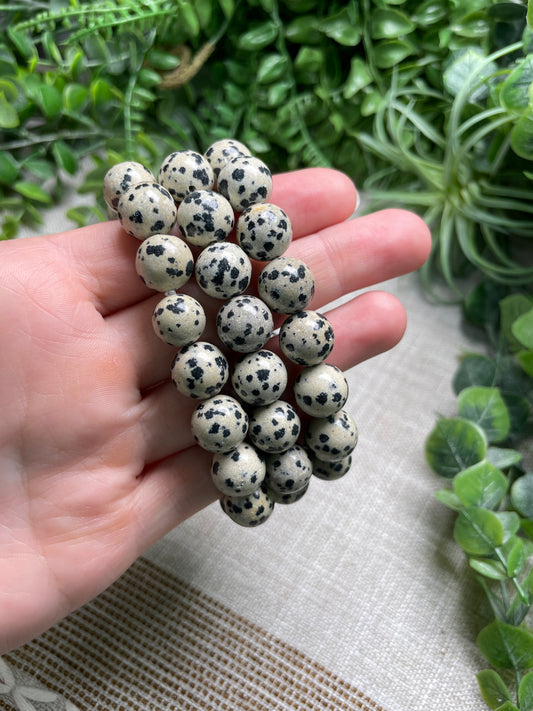 Dalmatian Jasper 12mm Beaded Bracelet