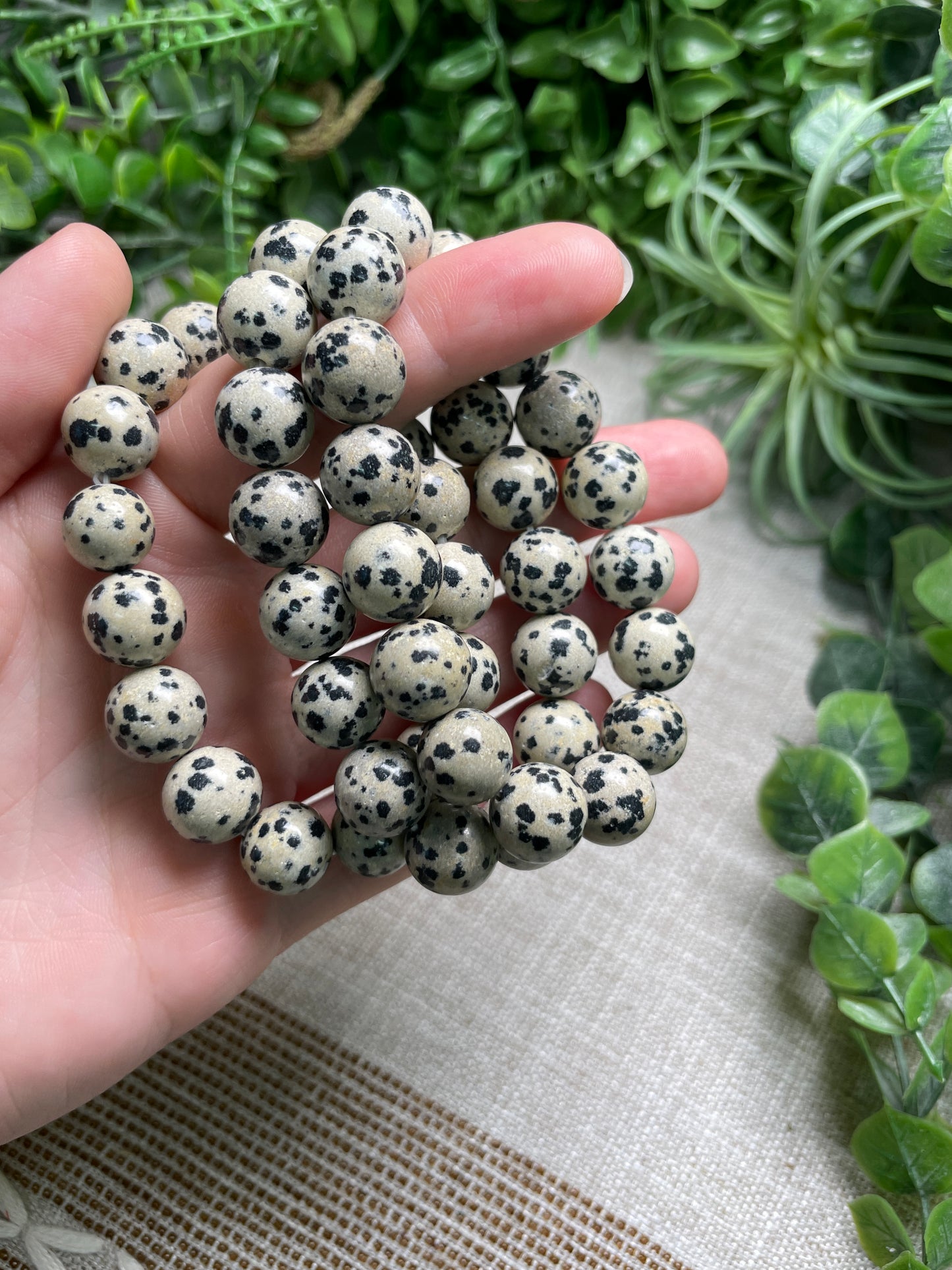 Dalmatian Jasper 12mm Beaded Bracelet