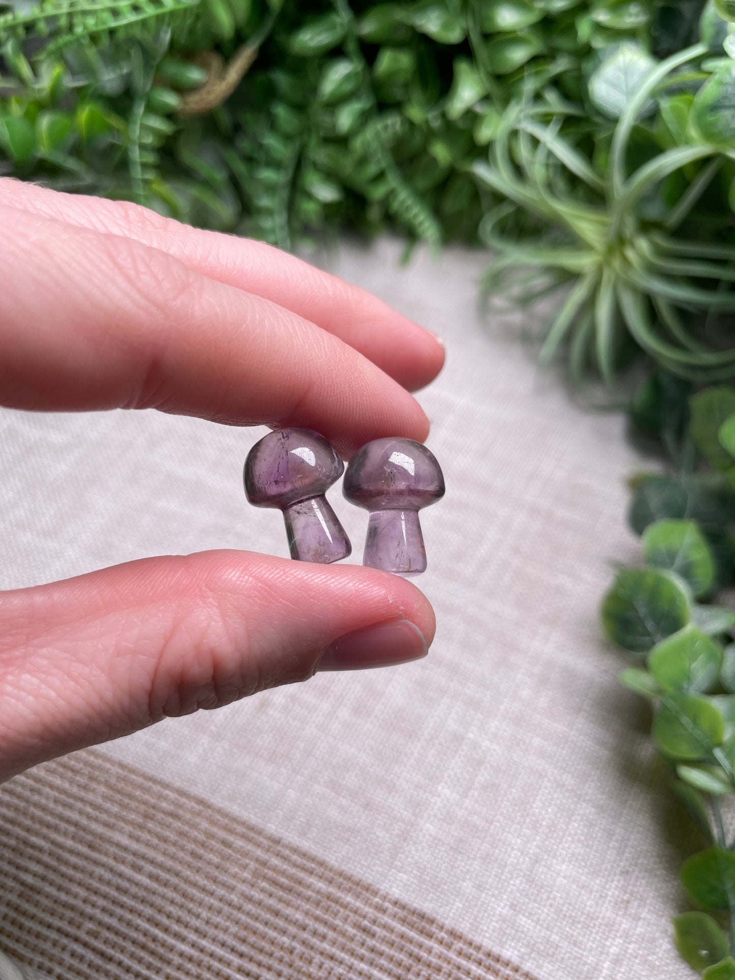 Amethyst Mushroom