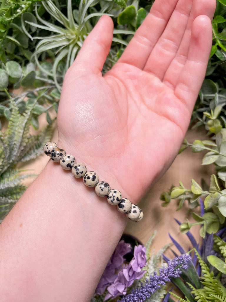 Dalmatian Jasper Bracelet