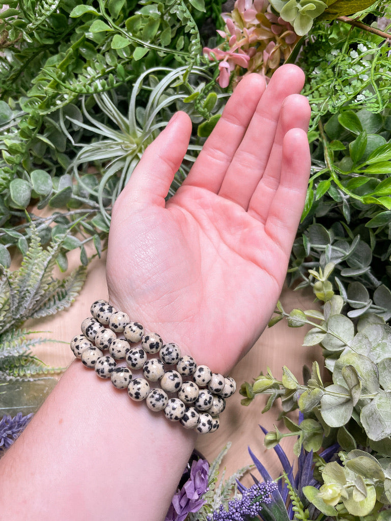 Dalmatian Jasper Bracelet