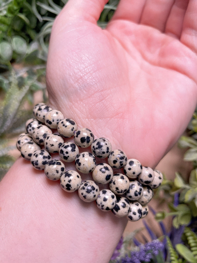 Dalmatian Jasper Bracelet