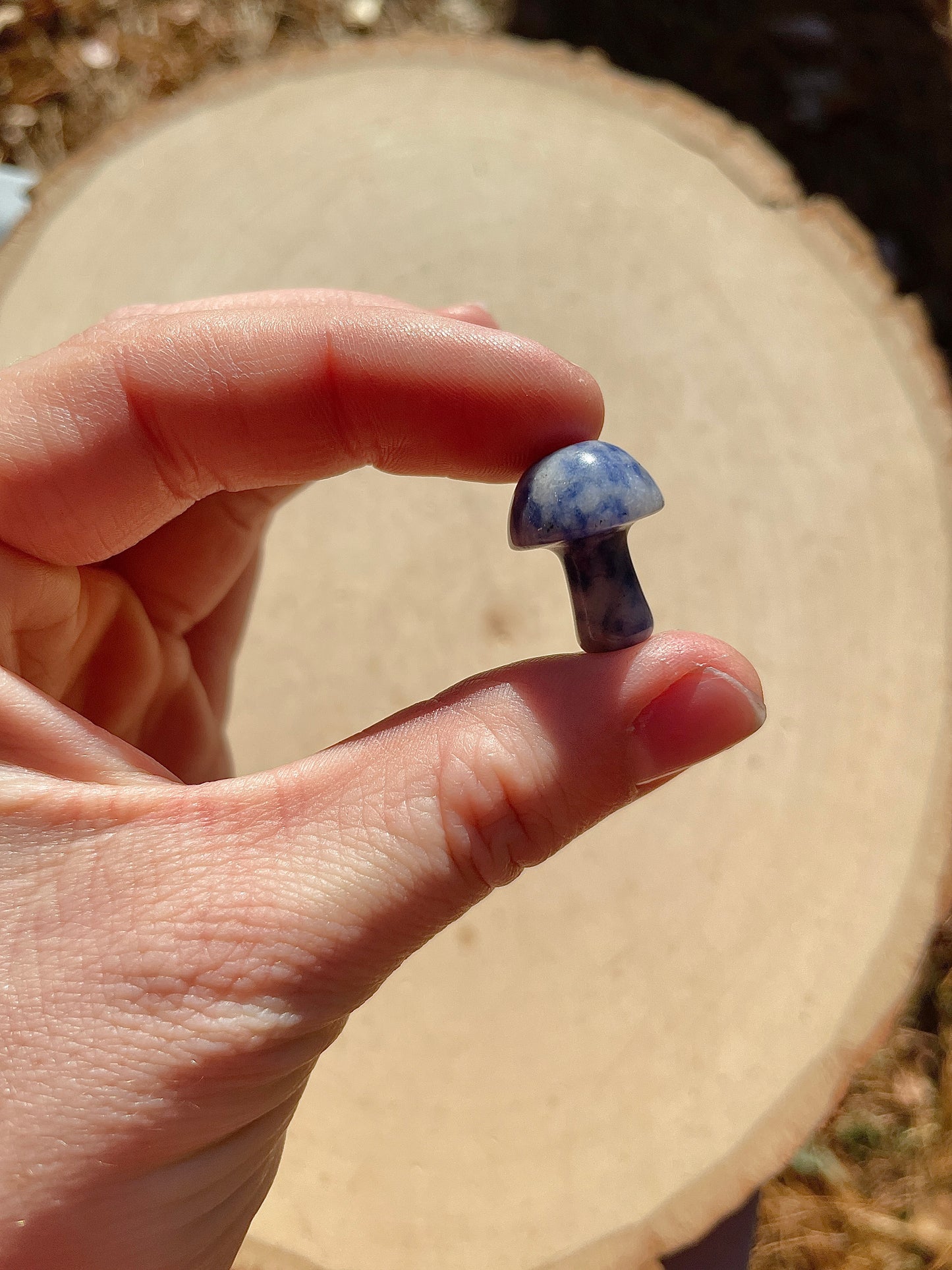 Blue Spot Stone Jasper Mushroom